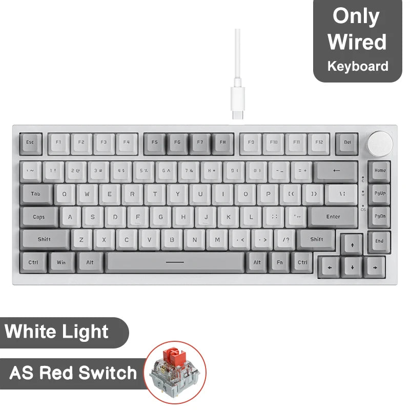 Ajazz AK820/AK820Pro Gaming Mechanical Keyboard Bluetooth 5.1/Wireless/C-Wired Customized Keyboard with Knob Hot Swapping Gasket HHFMpro